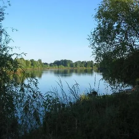 Maison d'hôtes L'arbre Rouge