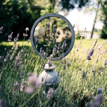 Maison d'hôtes L'arbre Rouge